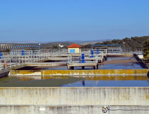 REUTIVAR acredita la viabilidad y el potencial de la aplicación de aguas regeneradas al cultivo del olivar